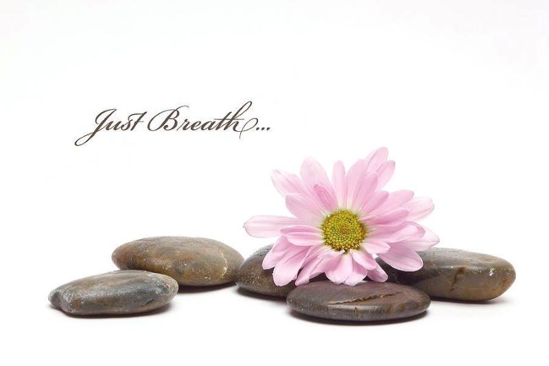 Just Breathe Rocks and flower